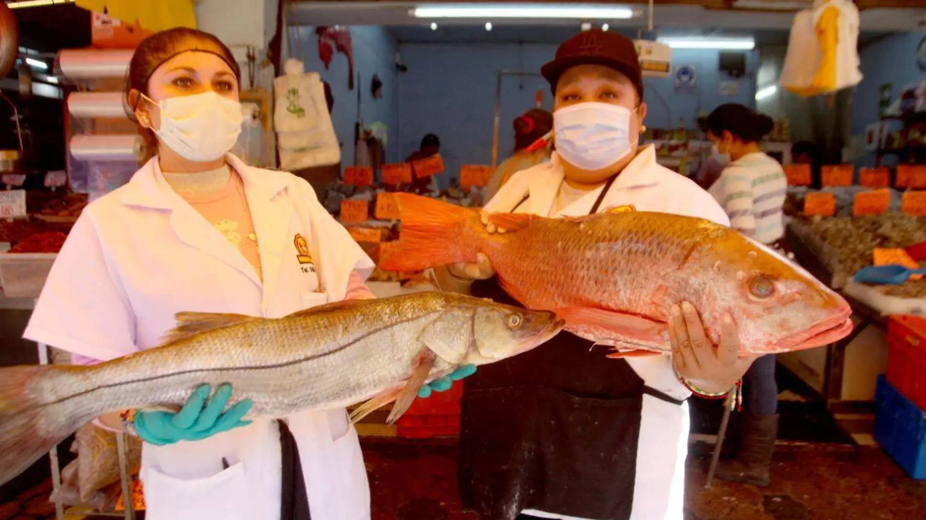 Sin alza de precios del pescado y mariscos, aseguran comerciantes